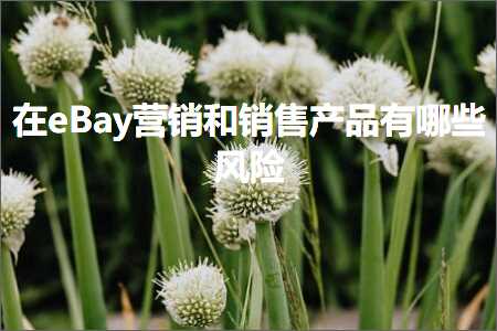 桂林网站推广 跨境电商知识:在eBay营销和销售产品有哪些风险